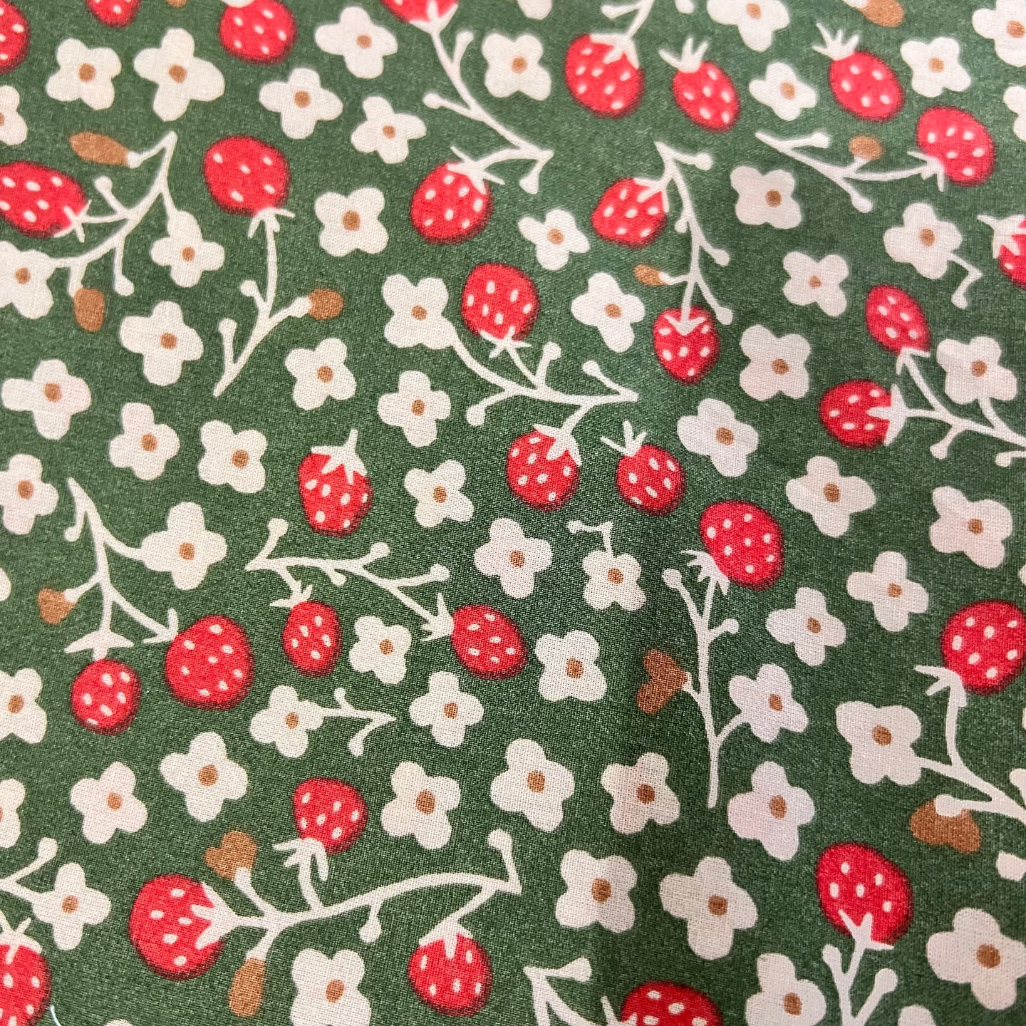 No. 005 Green Strawberry Bandana